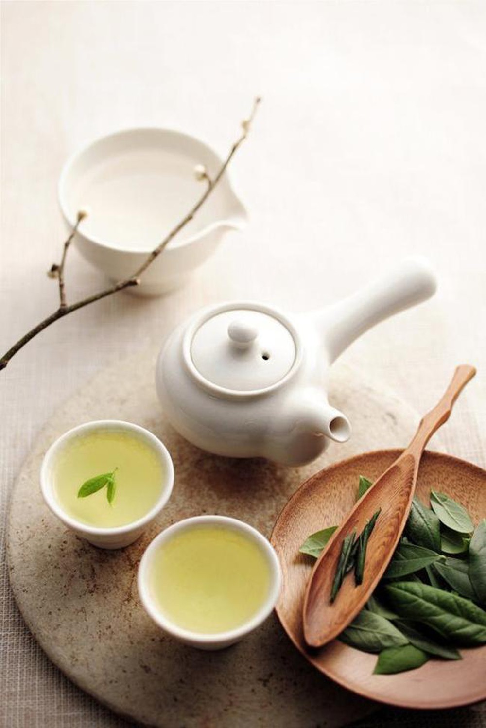 Lá trà từ lâu luôn được xem là “thần dược” rất tốt cho cơ thể, ngoài ra còn rất có ích trong việc làm đẹp của phái nữ.
